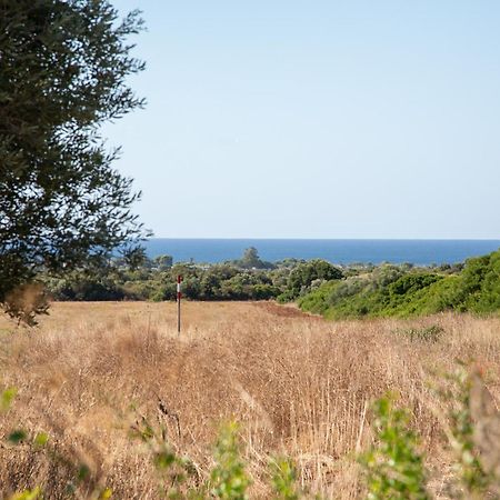 Masseria Scaledda Manduria Eksteriør bilde