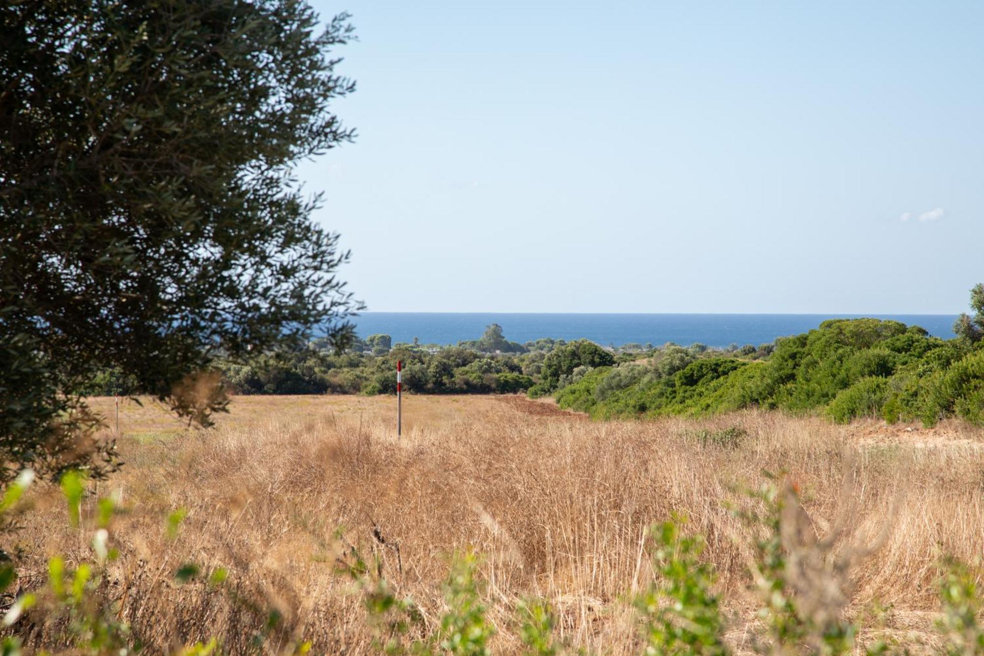 Masseria Scaledda Manduria Eksteriør bilde
